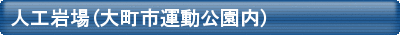人工岩場
