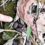 IMG_20210522_104406