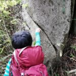 IMG_20210522_105426