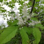 IMG_20210522_111744