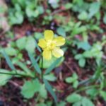 IMG_20210522_121629