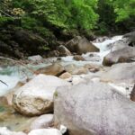 IMG_20210522_125022