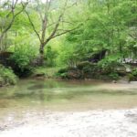 IMG_20210522_125544