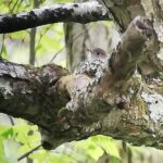 IMG_20210530_083452 (2)