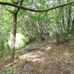 IMG_20210602_103015