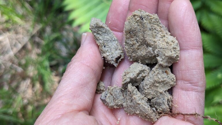 【募集終了】火山噴出物【テフラ】は何を語るのか？（地質学講座・ハラヤマ探偵団）