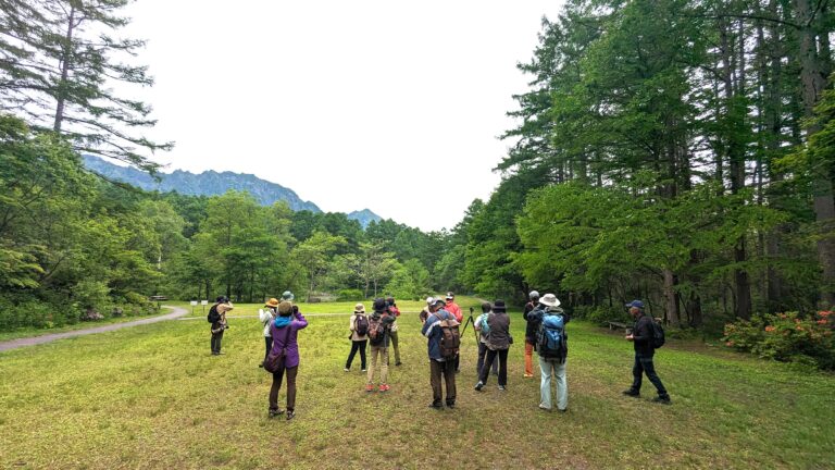 【終了】野鳥の楽園・戸隠で、夏鳥を観察しよう！