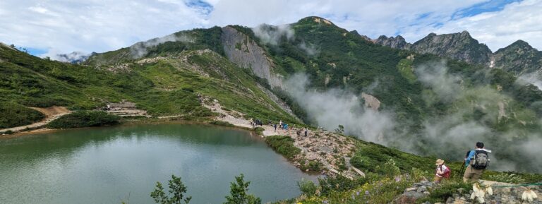 八方尾根で高山植物を観察しよう！