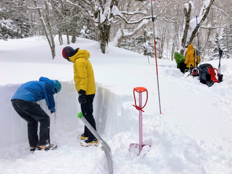 2025年度セイフティキャンプwith日本雪崩ネットワーク