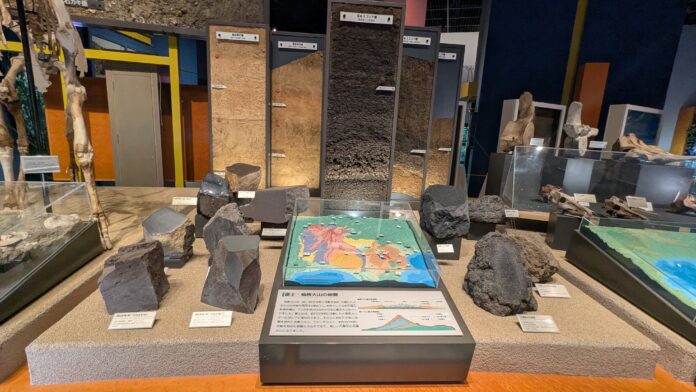 PXL_20251031_070434784