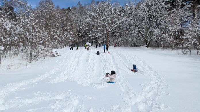 PXL_20250209_044210869