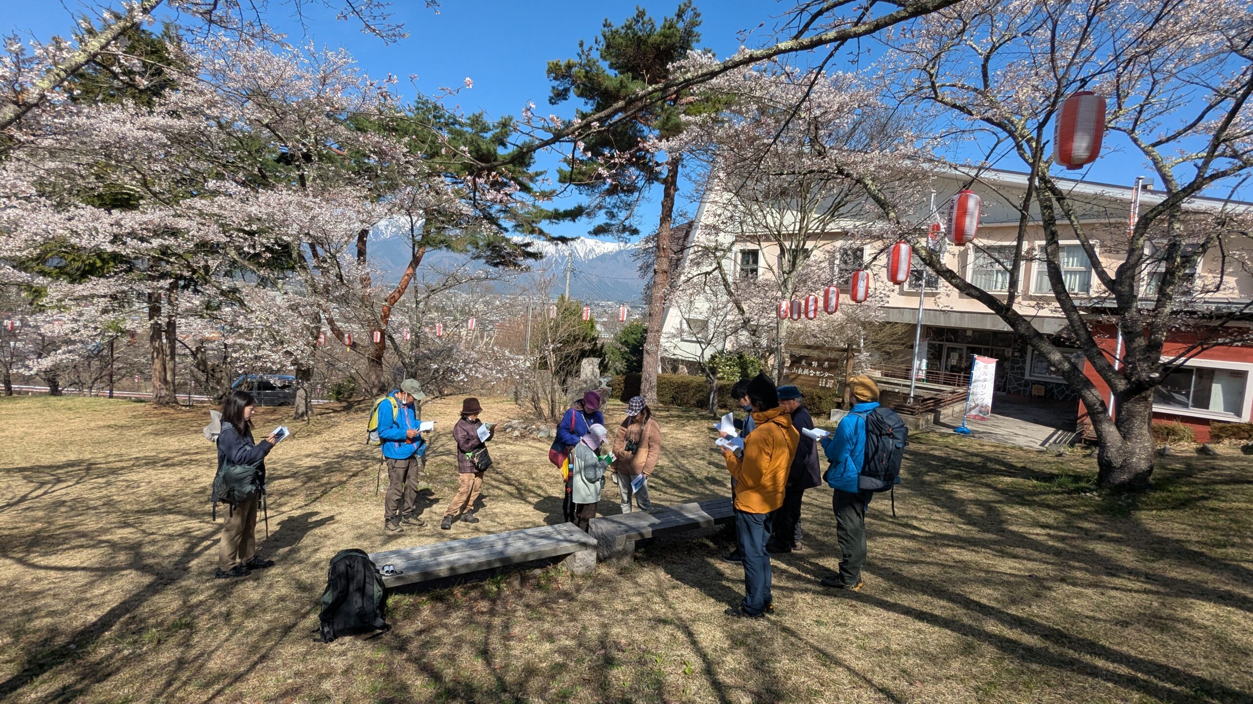 鳥と桜と雪山と。（「たかがり山で鳥さん見っけ！」開催） - 長野県